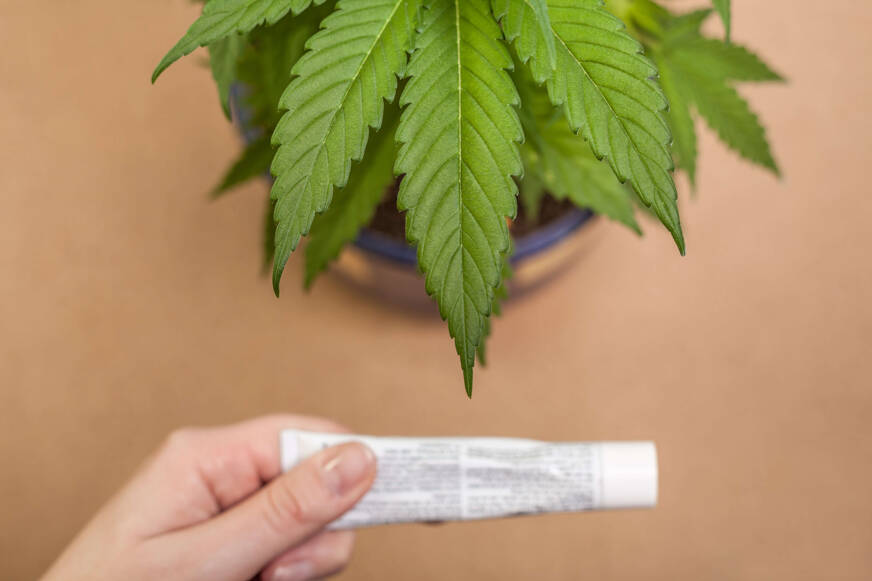 crème cbd